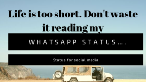 30 Unique status for social media and whatsapp, whatsapp status 2019, status for social media