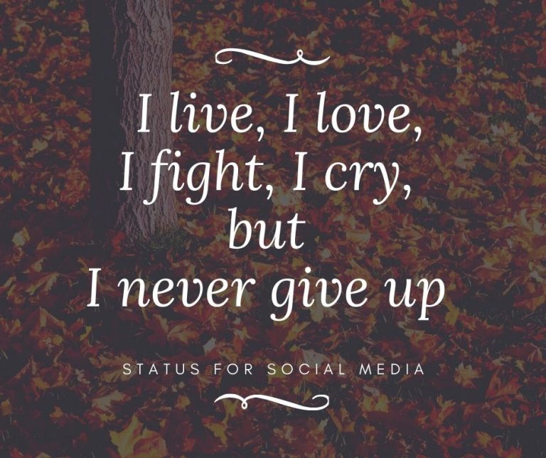 Top 230 FB Status QuotesAttitude, Love SFSM