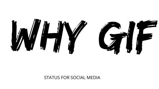 why gif cartoon 2020, why gif with sound 2020, why gif animated united states 2020, but why gif usa 2020, why gif download 2020, why gif download, why gif girl download, crying why gif why gif united states, why gif united kingdom, why gif malaysia, why gif indonesia, why gif philippines, why gif canada,