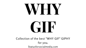 why gif cartoon 2020, why gif with sound 2020, why gif animated united states 2020, but why gif usa 2020, why gif download 2020, why gif download, why gif girl download, crying why gif why gif united states, why gif united kingdom, why gif malaysia, why gif indonesia, why gif philippines, why gif canada,